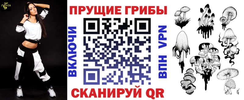 наркота  Калязин  Псилоцибиновые грибы Psilocybe 